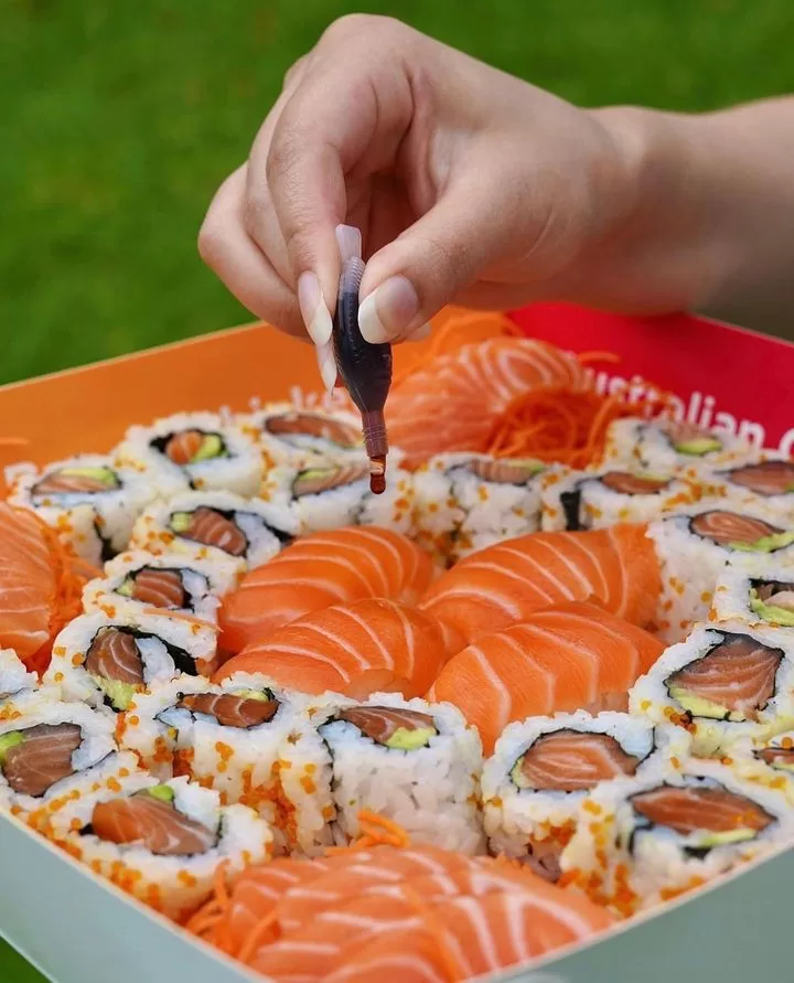 sushi-hub